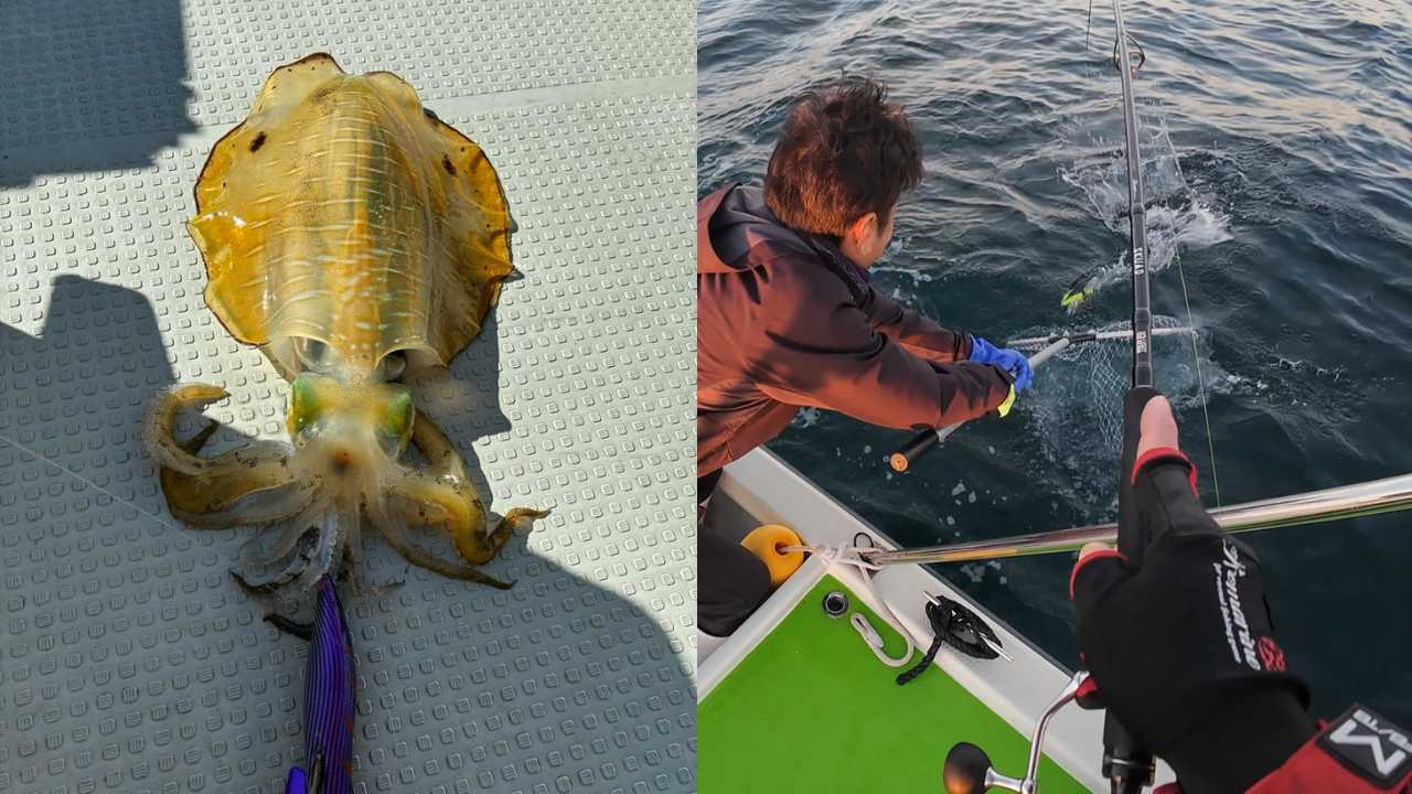 【伊勢志摩リレー便】サワラキャスティング＆ティップラン！この組合せがもう最高です